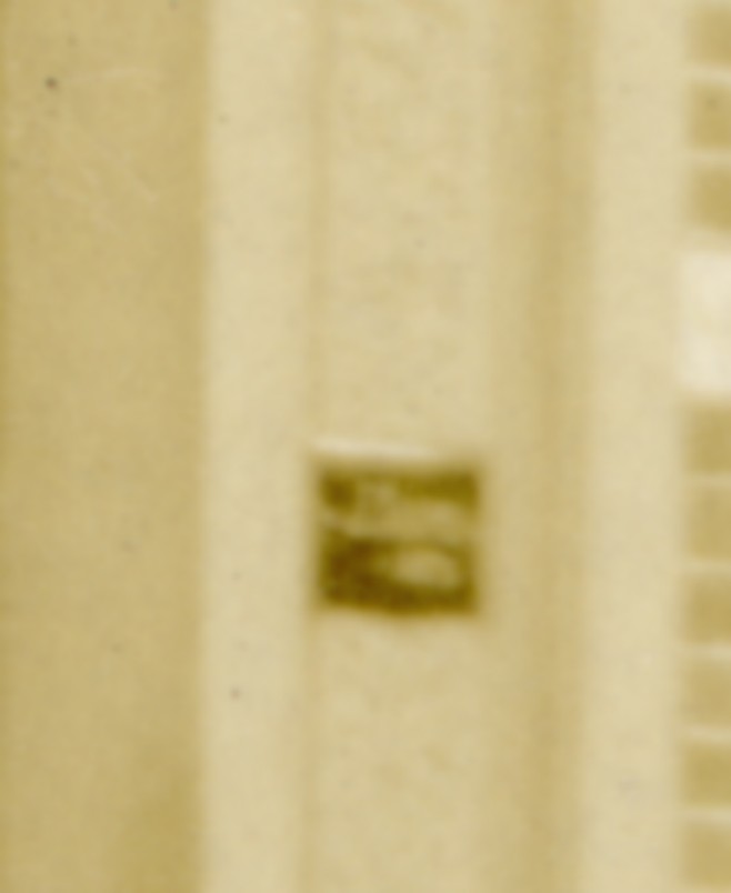 0614b.jpg
