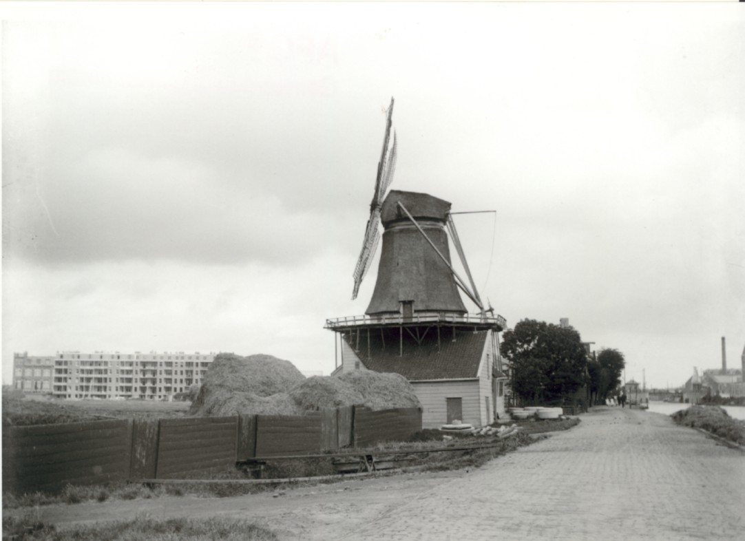 849.jpg