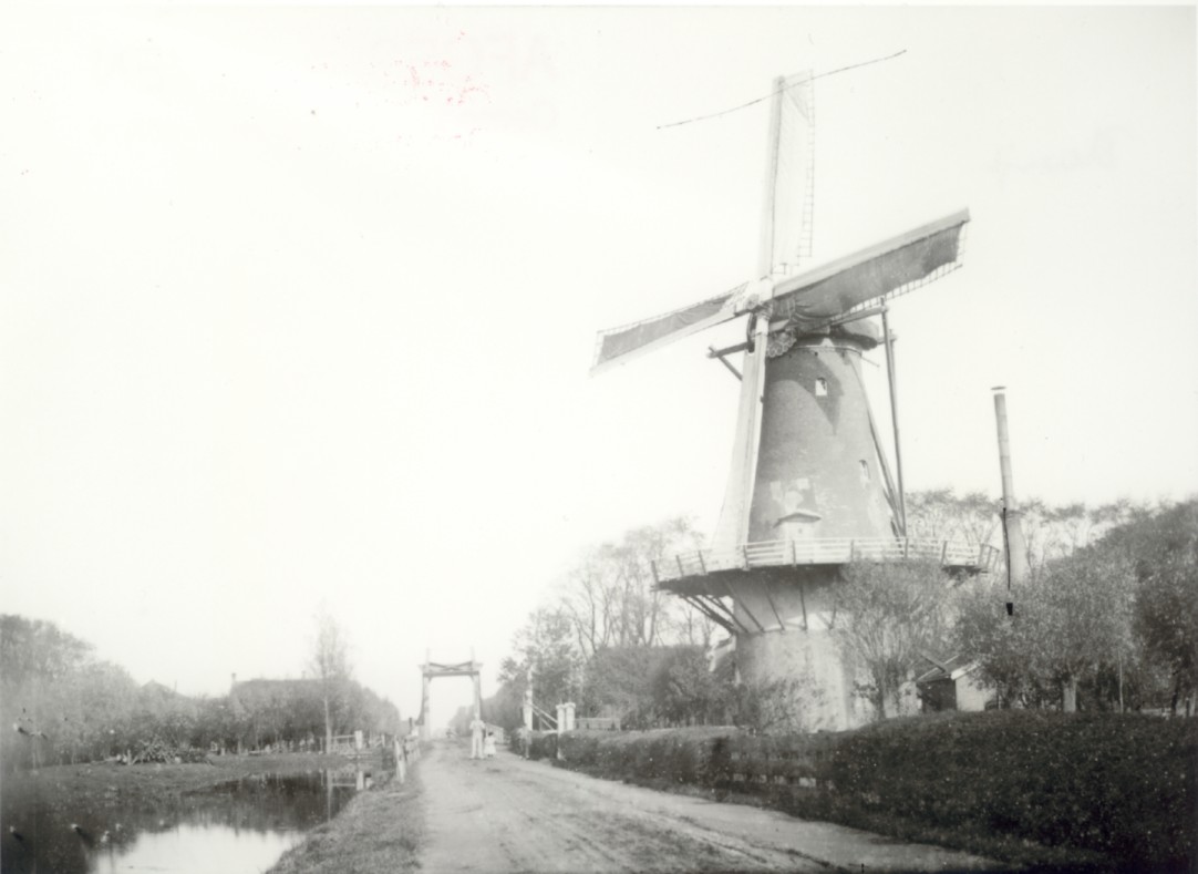 850.jpg