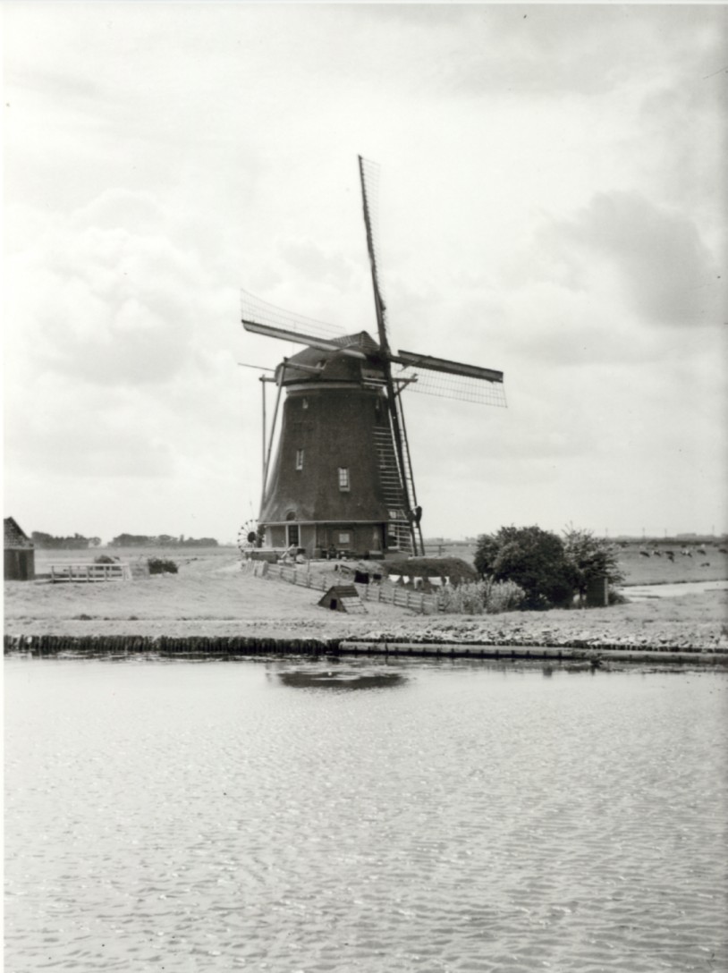 851.jpg