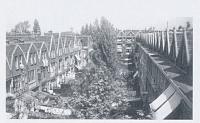 binnenterrein-detail.jpeg