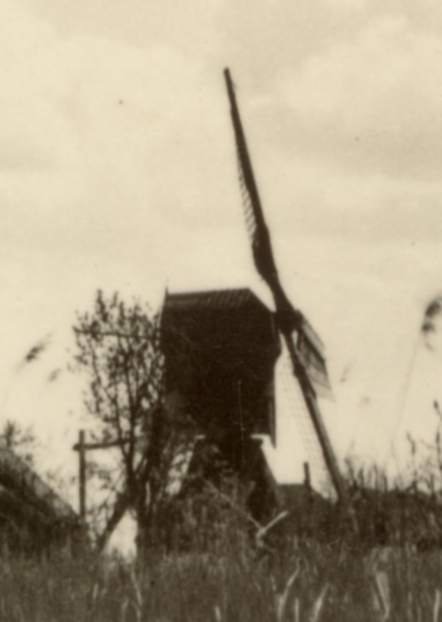 1062a.jpg