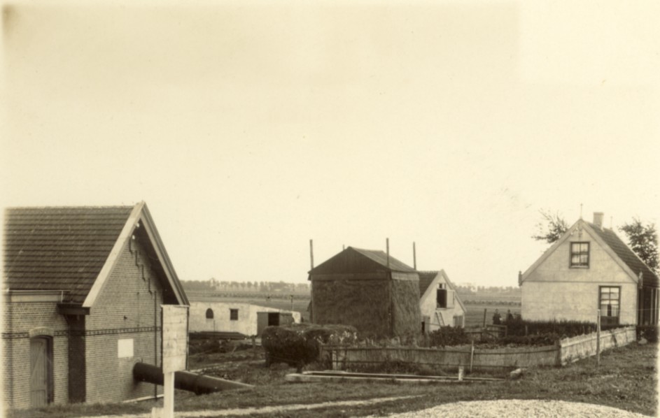 1164.jpg