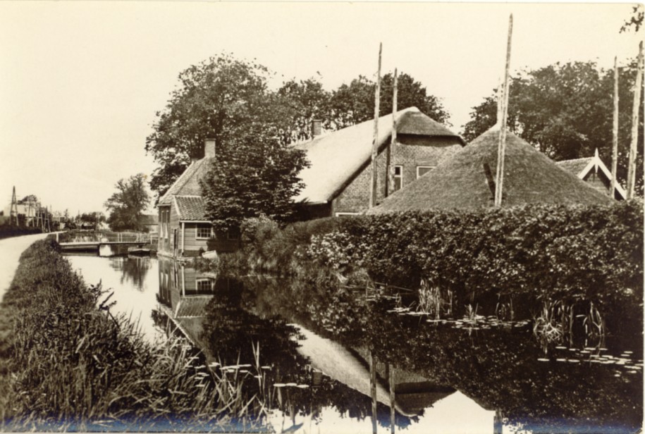 1178.jpg