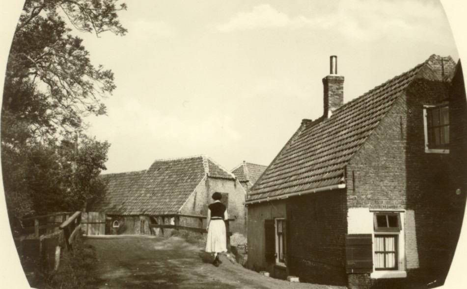 1179.jpg