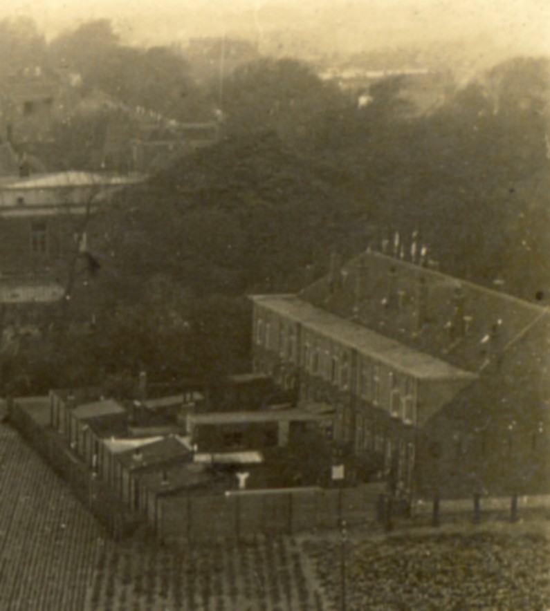 1174b.jpg