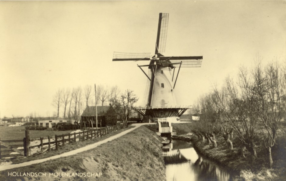 1240.jpg