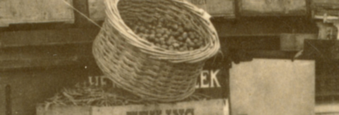 1260ag.jpg