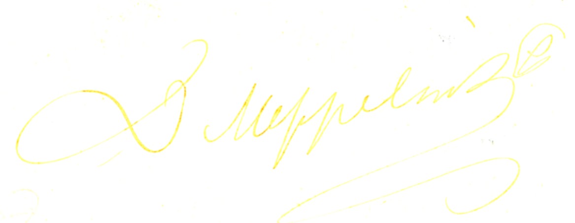 1274bg.jpg
