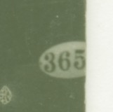 8286c.jpeg