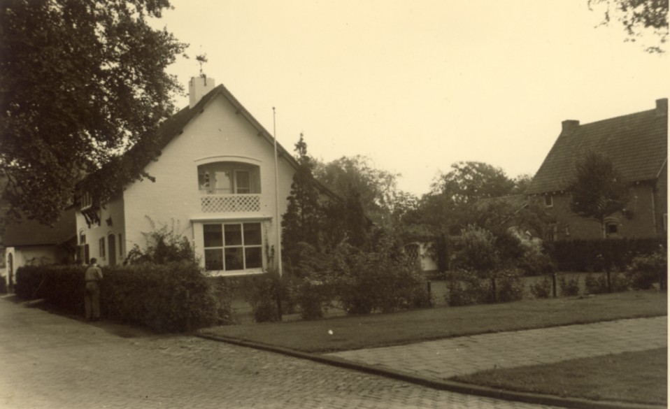 1335bg.jpg