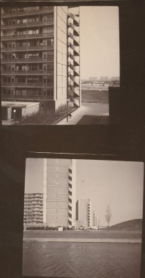 8444gIMG_20240621_0007.jpg