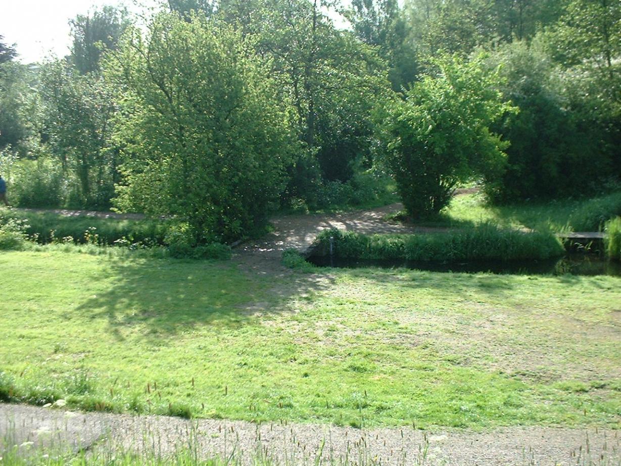 DSCF0070.jpg