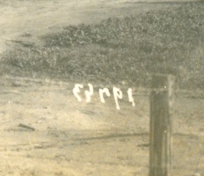 8495gaimg188.jpg