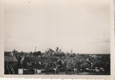 8503gIMG_20241130_0005.jpg