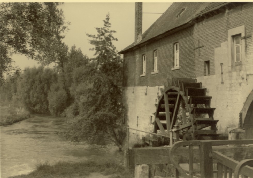 1394.jpg