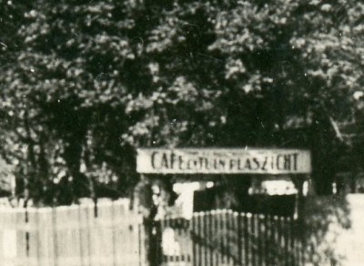 8629gaimg339.jpg