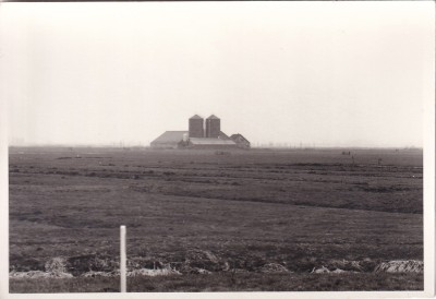 ioa8849.jpg