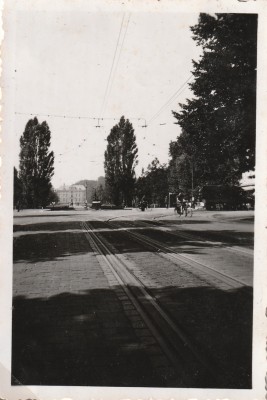 ZI8769g.jpg