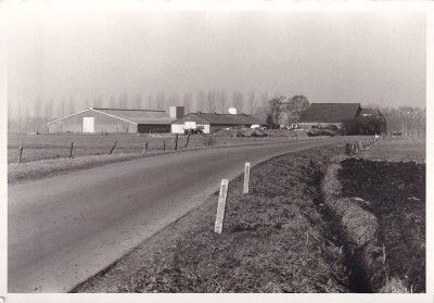 ioa8864.jpg