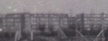 IMG_0310.jpeg
