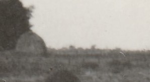 detail 3.jpg