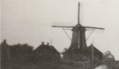 detail 1.jpg