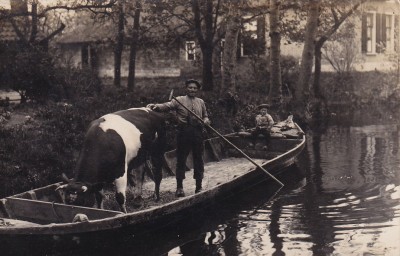 ioa8972.jpg