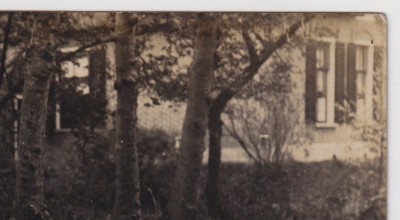 ioa8972b.jpg