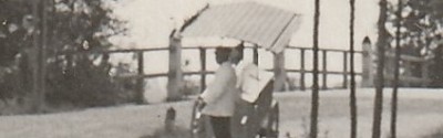 ZI8978g.jpg