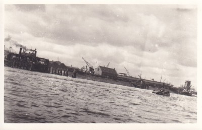 ioa8981.jpg