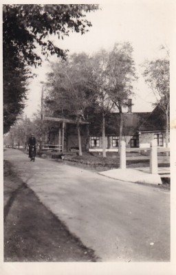 ioa9012.jpg