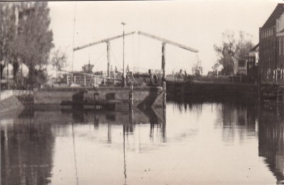 ZI9015g.jpg
