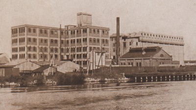 ioa9017a.jpg