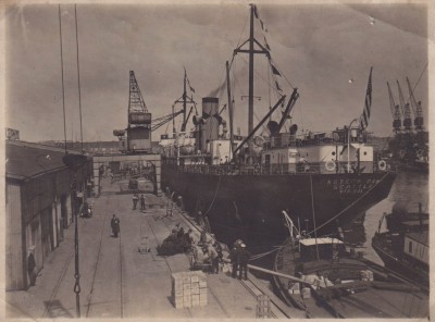 ioa9019.jpg