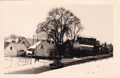 ioa9028.jpg