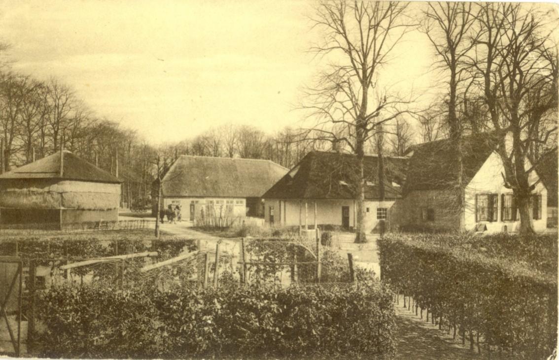 1525.jpg
