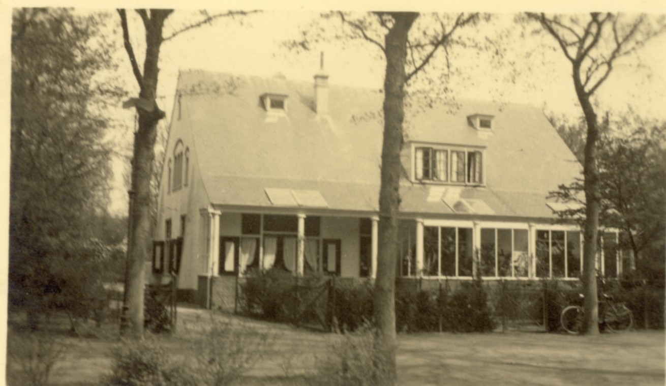 1531.jpg
