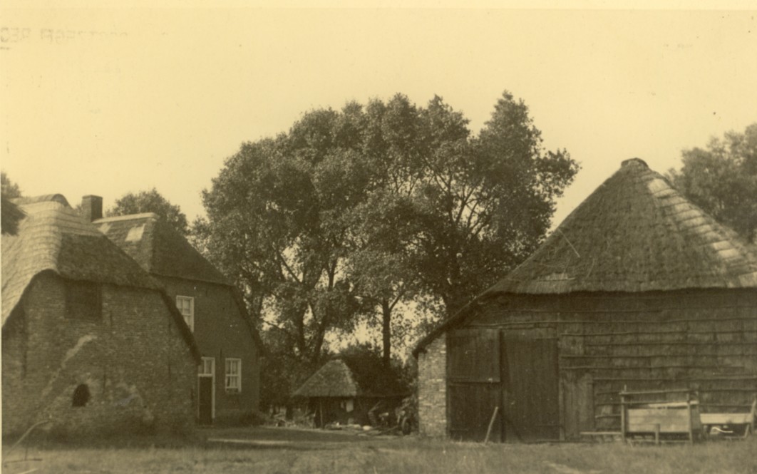 1725.jpg