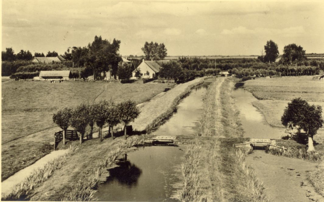 1763g.jpg