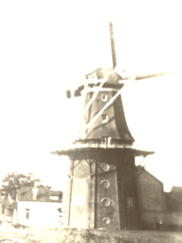 1773a.jpg