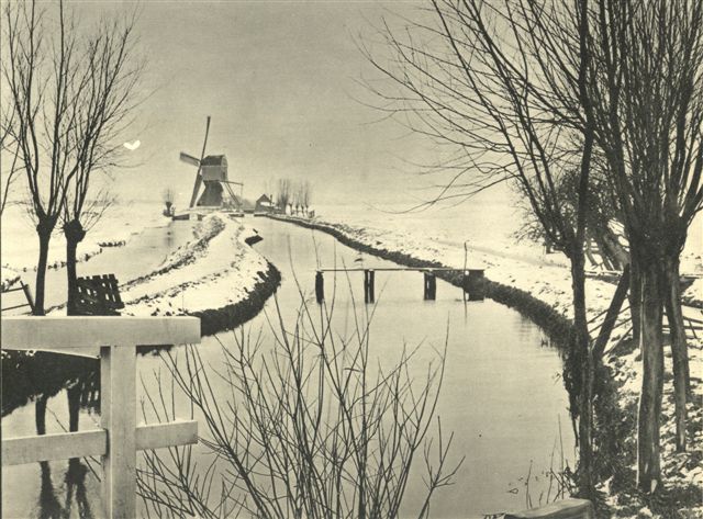 Bachtenaar.jpg