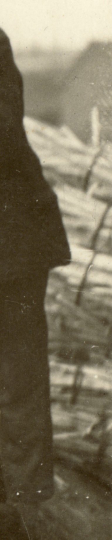 1877a.jpg