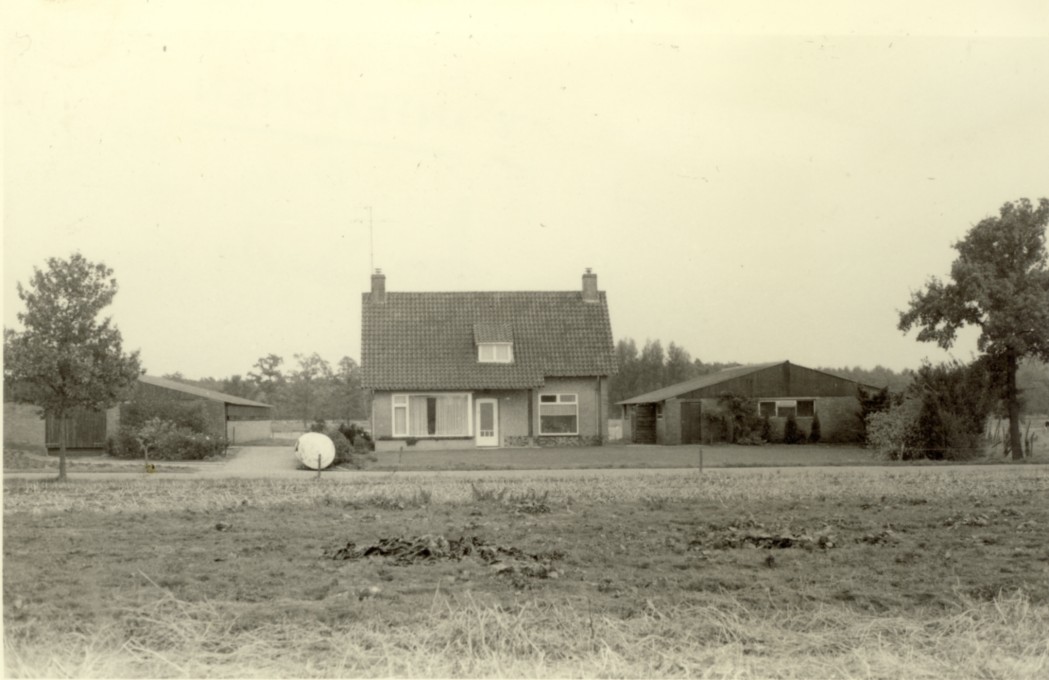 1895.jpg