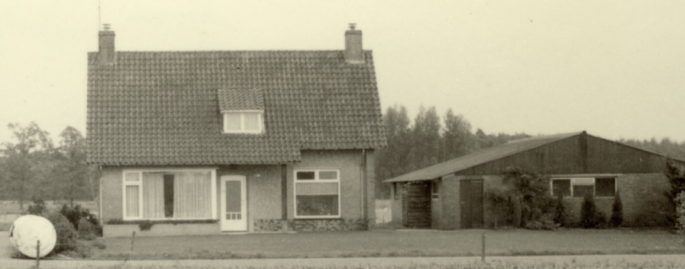 1895a.jpg