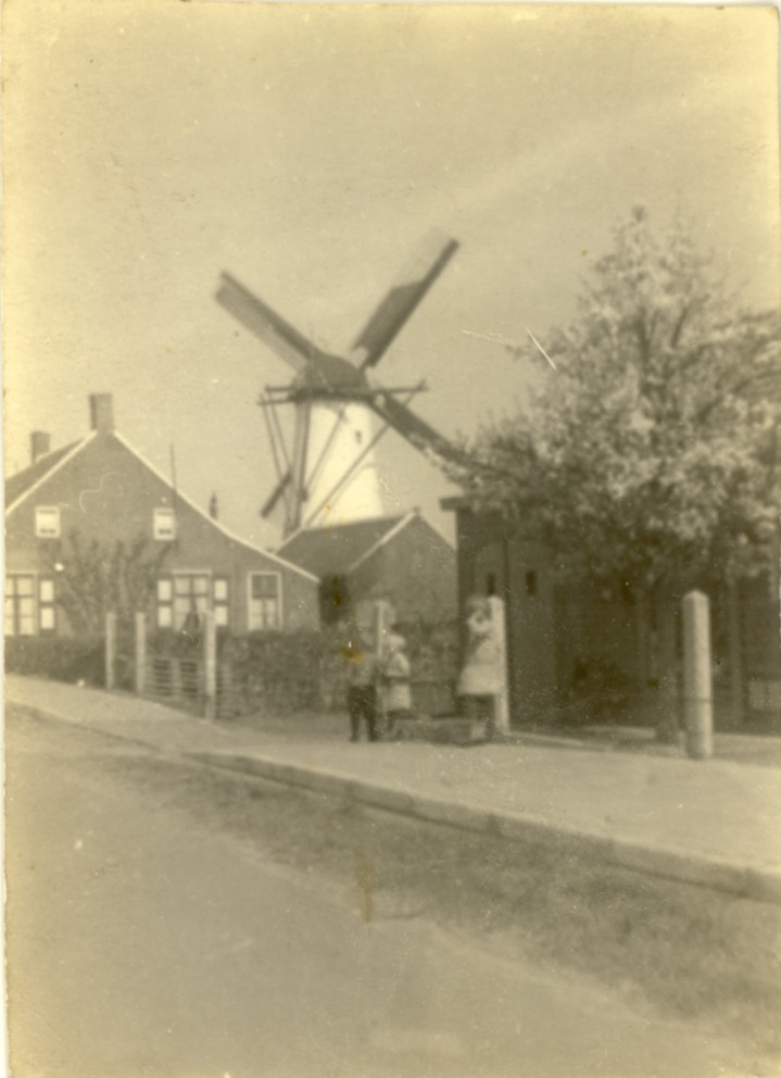1901.jpg