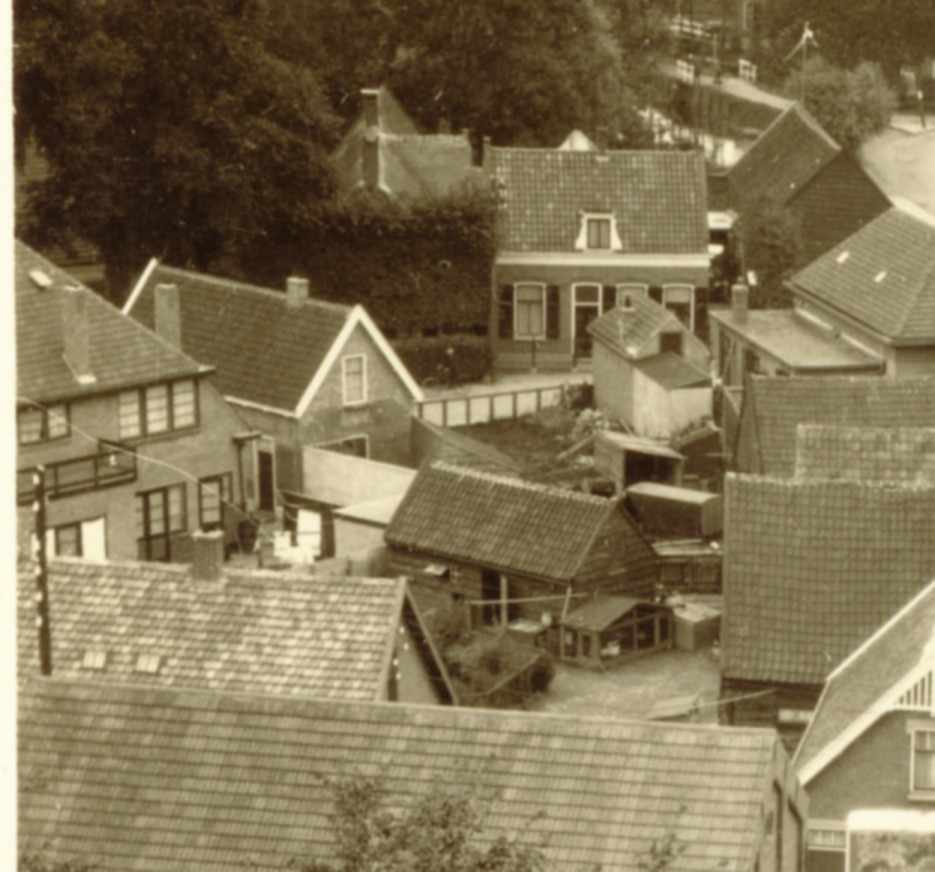 0833bg.jpg