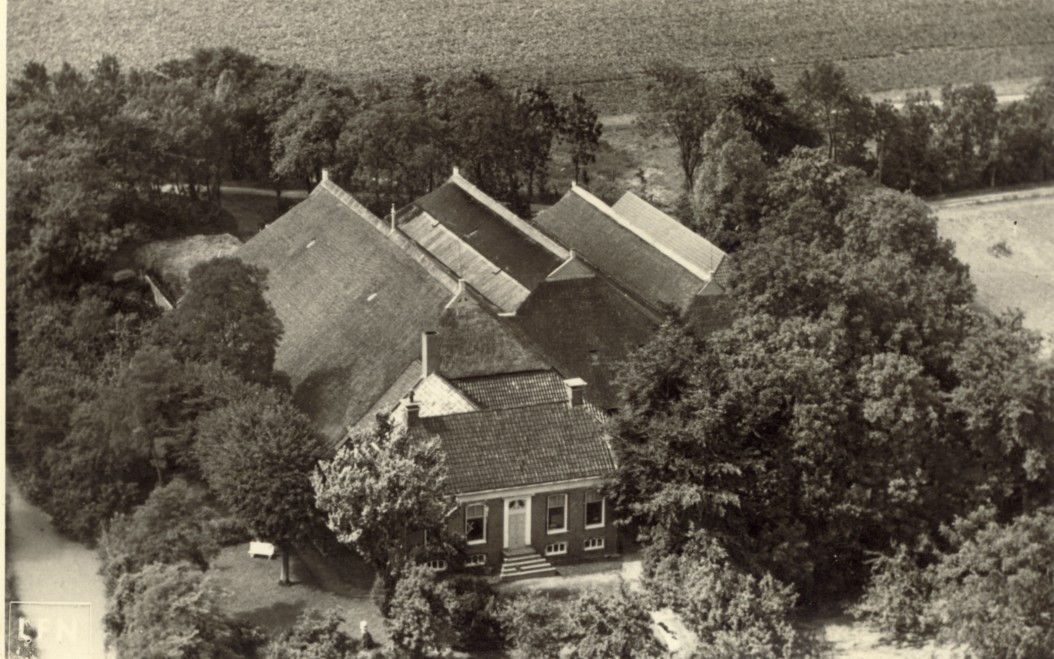 1981.jpg