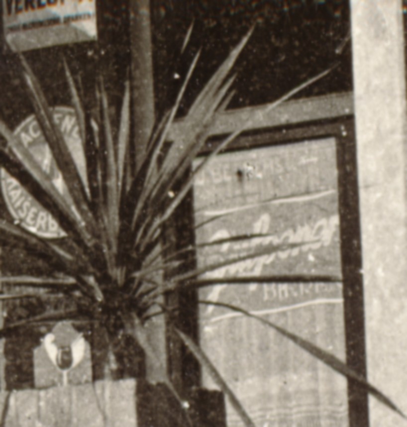 2003b.jpg