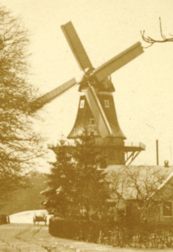 2031ga.jpg